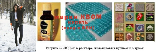 стафф Арсеньев