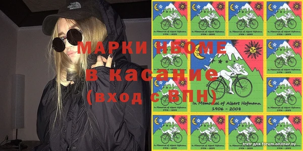 стафф Арсеньев