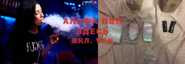 стафф Арсеньев