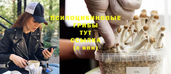 стафф Арсеньев